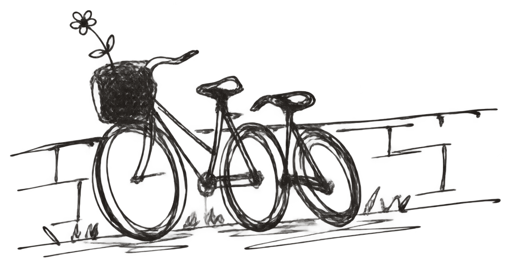 Two bicycles leaning together by a low wall, a flower in the basket — pen drawing.
