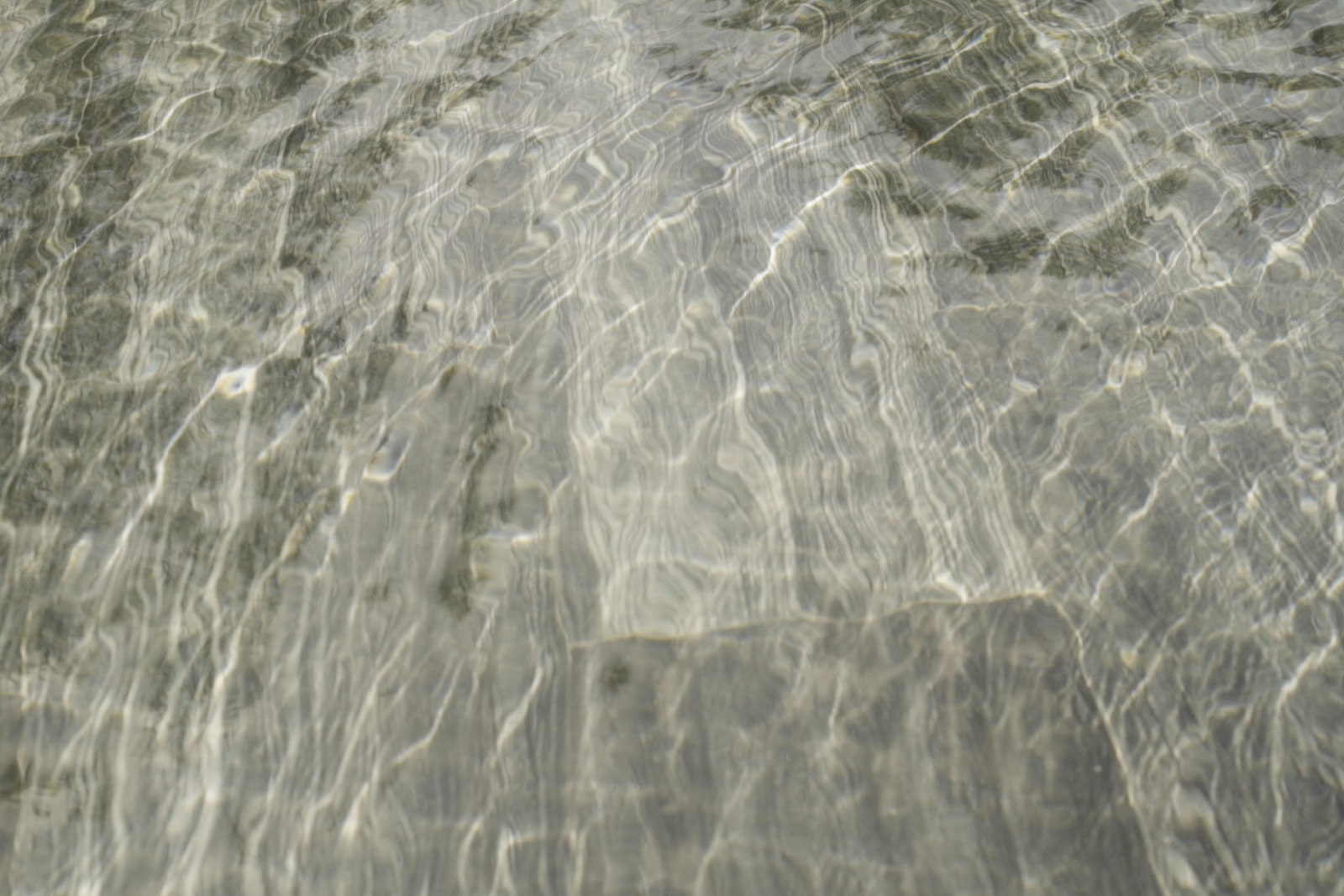 Sunlight moving across clear shallow water.