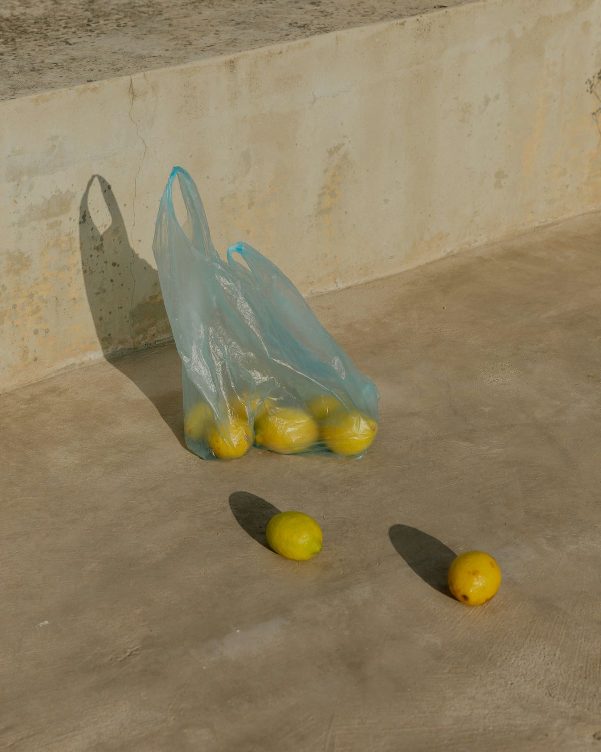 A bag of lemons resting against a concrete step in afternoon light.